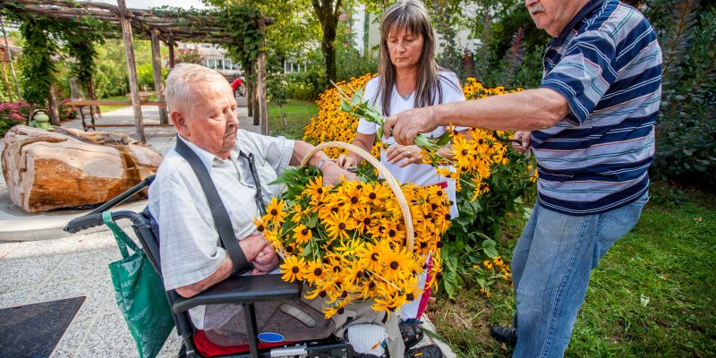Medkännande samhälle