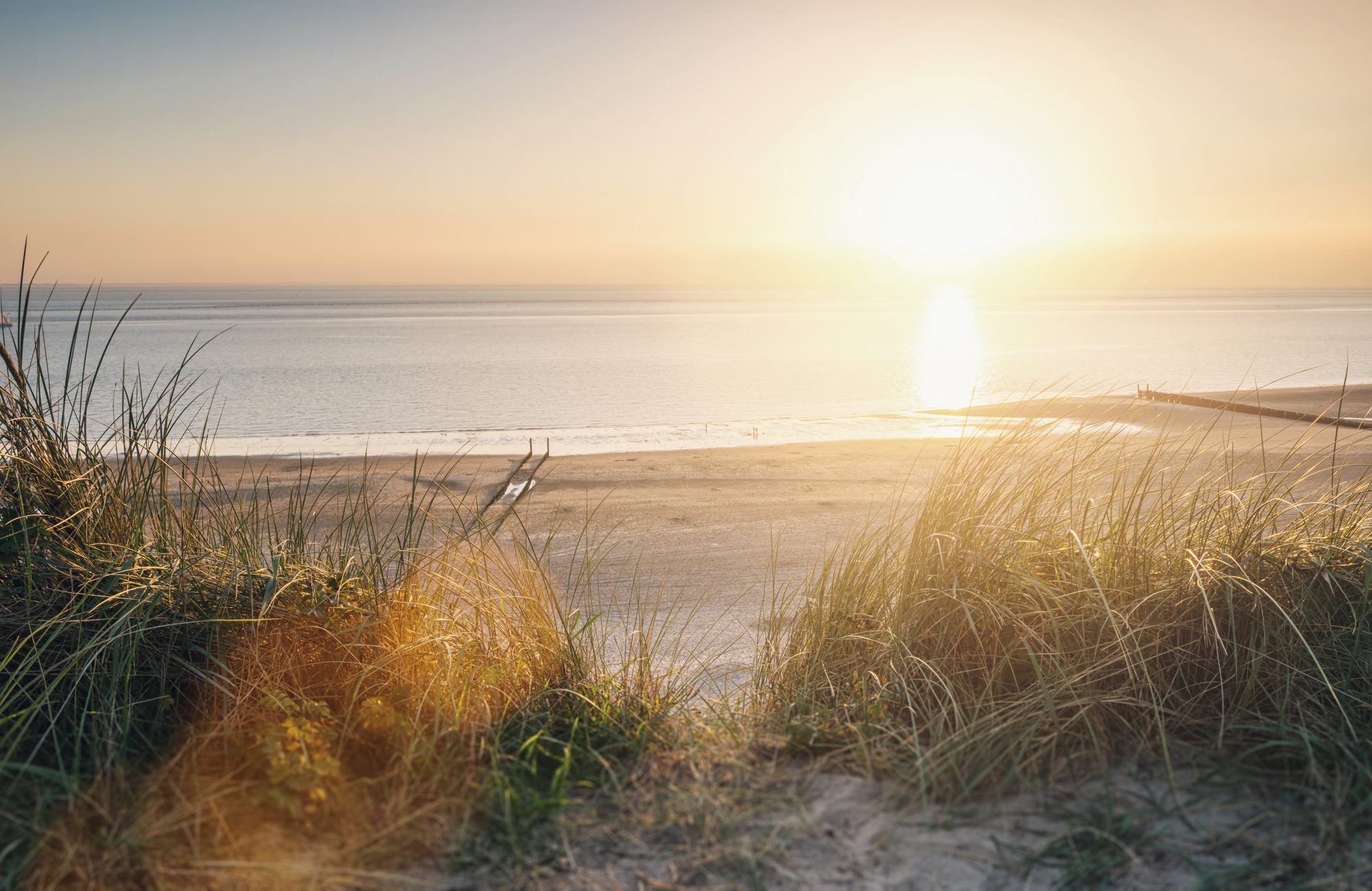 View to the beach at a summer sunset. ideal for websites and magazines layouts