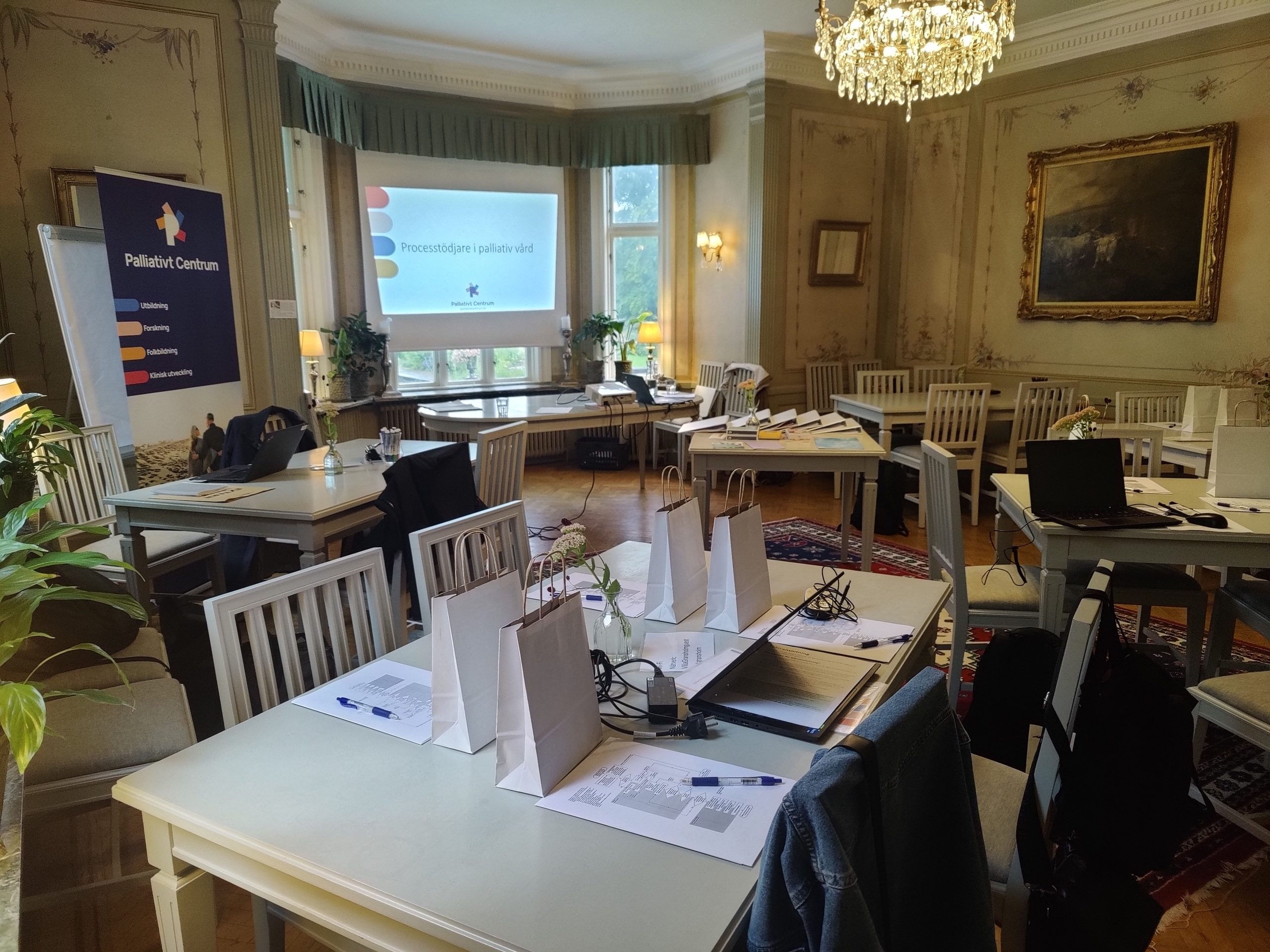 Processtödjare palliativ vård